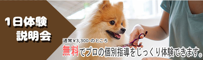 1日体験説明会