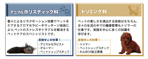 実践に強いプロフェッショナルを養成