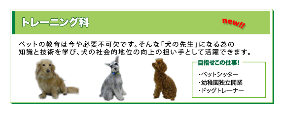 実践に強いプロフェッショナルを養成